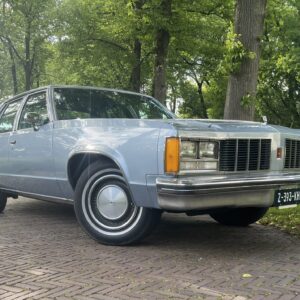 Oldsmobile Delta 88 Royal | 1979